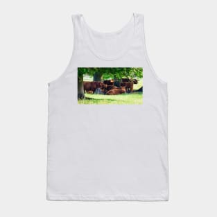 Highland cattle cows family having a rest in the cool shadow under trees Tank Top